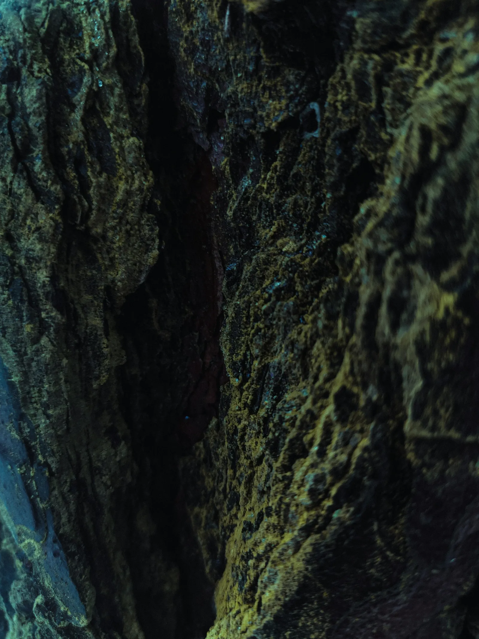 Texture de roche et mousse pour le service de maintenance